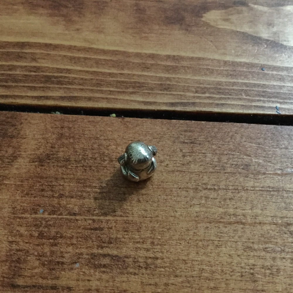 Pandora Charm